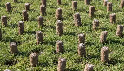 Close-up of lawn aeration soil cores showing plug depth and coverage in Oklahoma City, OK