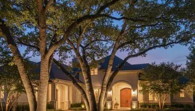 Dramatic tree uplighting by Chop Chop Landscaping in Oklahoma City, OK enhancing evening landscape design